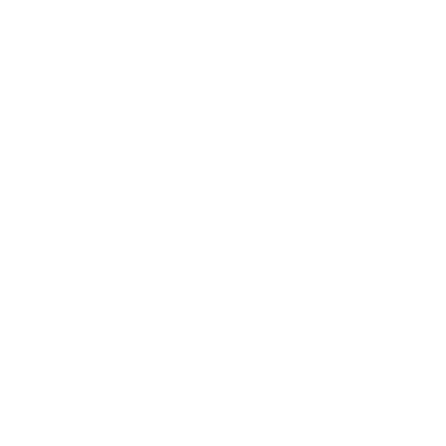 VELOCE